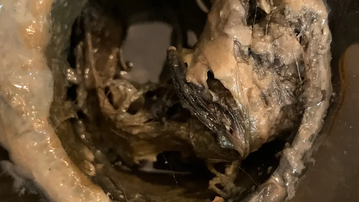 Blocked Drain in a Costa del Sol Apartment: What Not to Put Down It